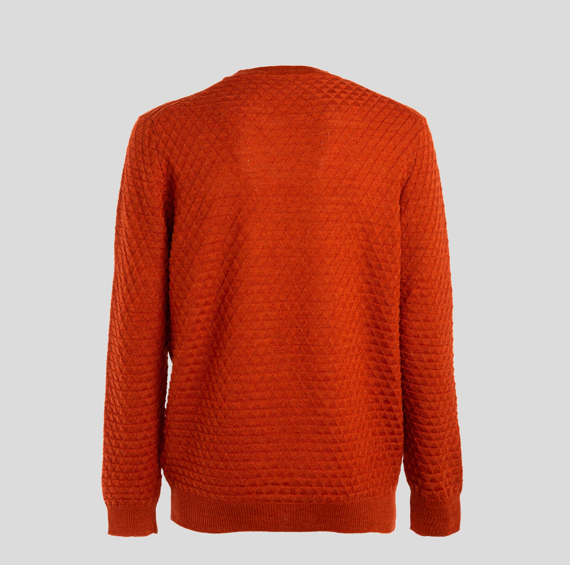 cashmere company | maglione in lana da uomo