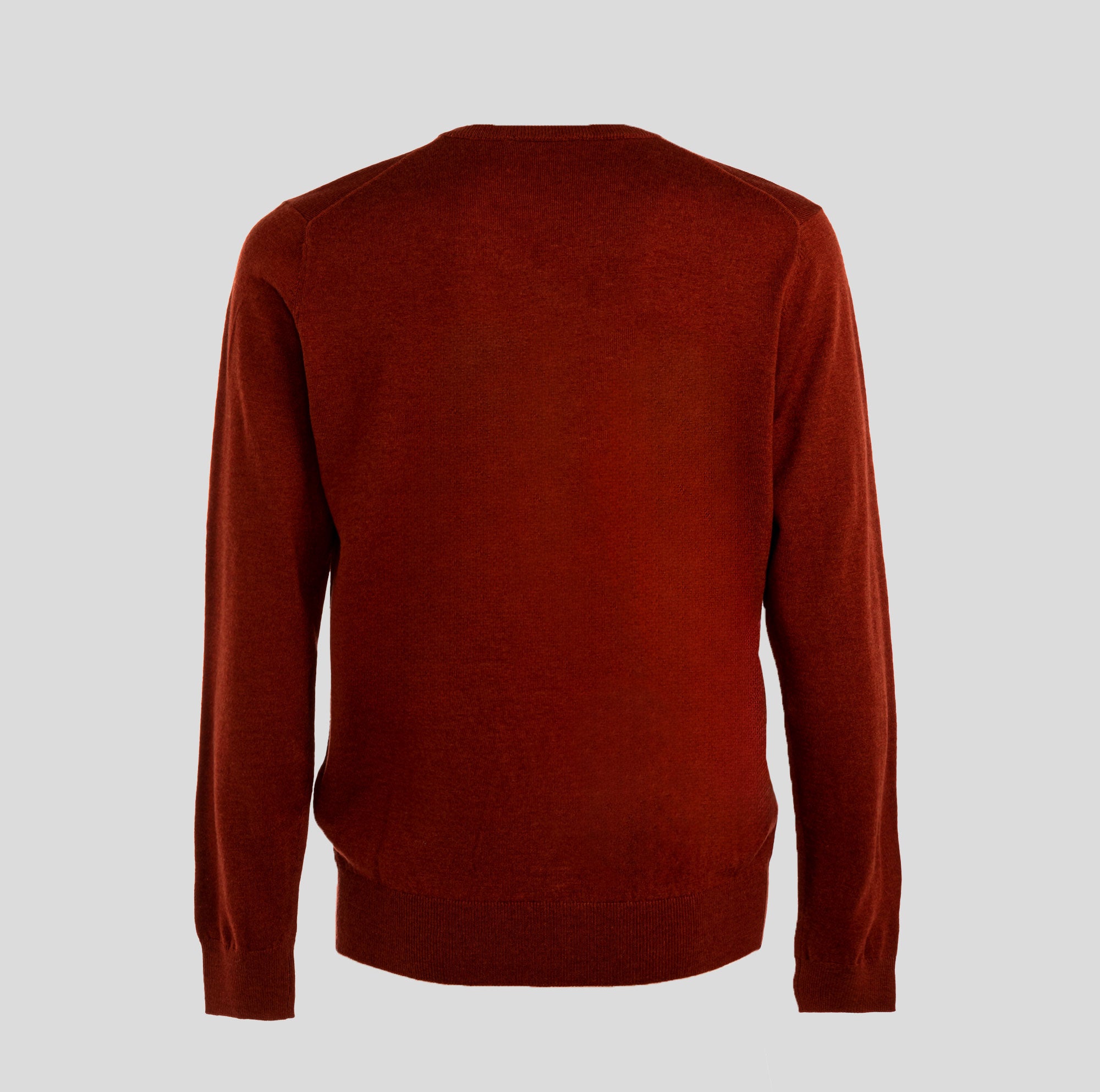 cashmere company | maglione in lana da uomo