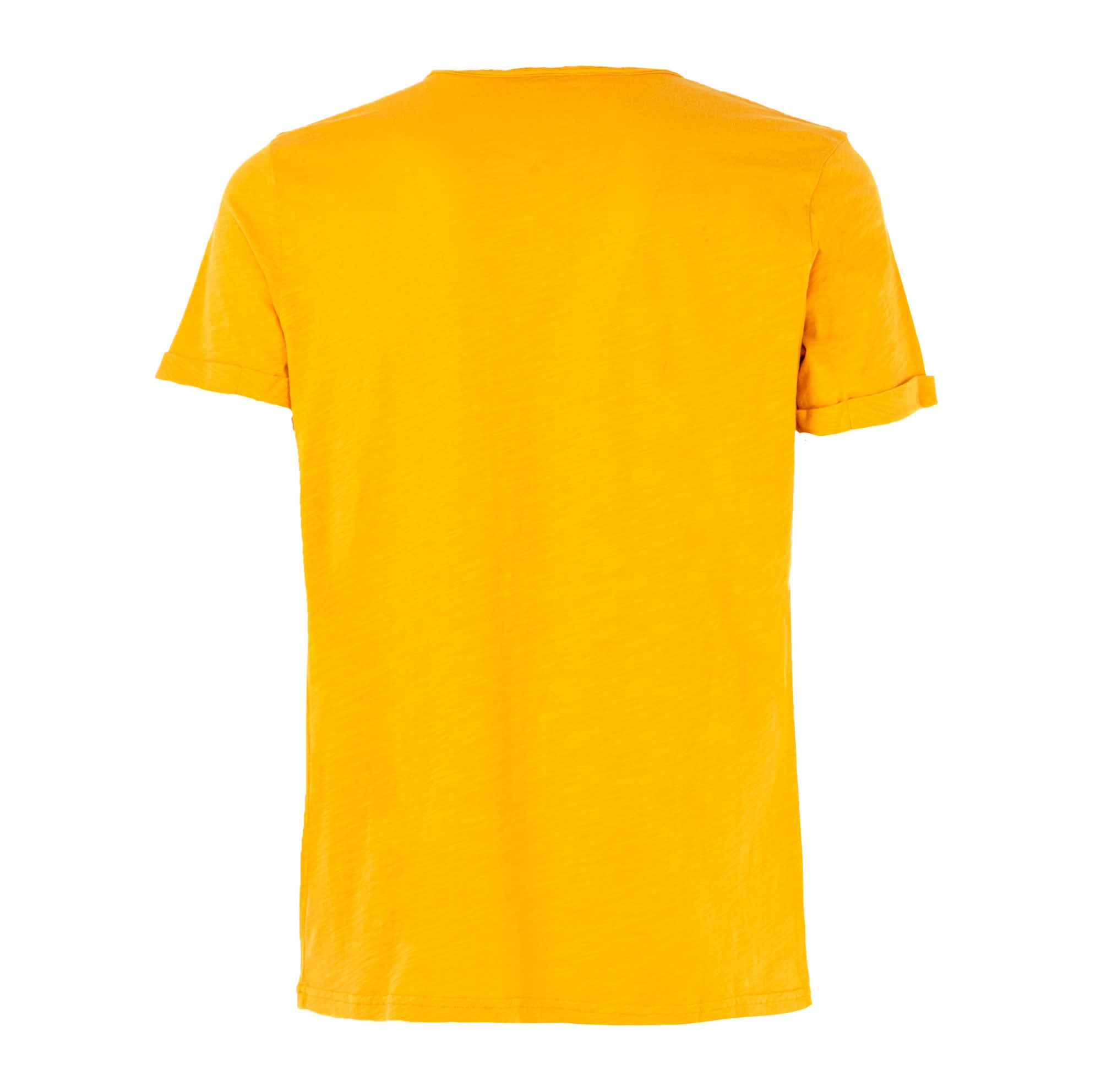 cashmere company | t-shirt da uomo