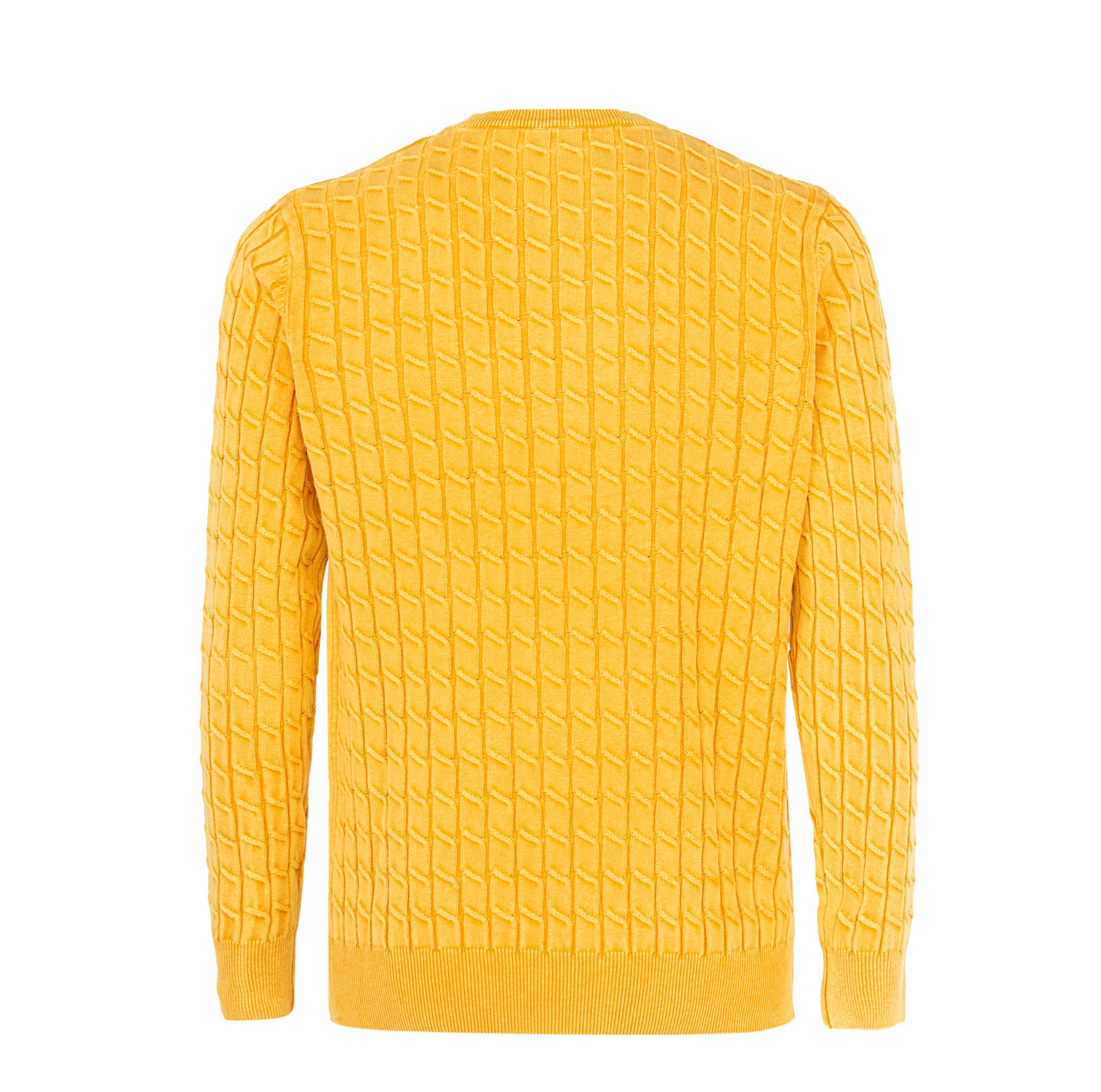 cashmere company | maglione da uomo